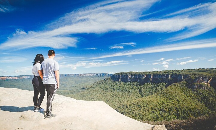 Image 19: Small Group Blue Mountains Wildlife and Bushwalk Tour From Sydney
