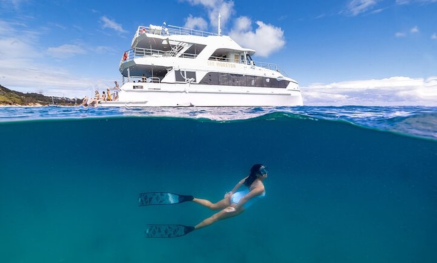 Image 1: Dolphin & Tangalooma Wrecks Snorkel Cruise & Lunch - Brisbane