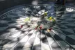 Central Park: Bethesda Terrace, Strawberry Fields, Bow Bridge - Second Medium