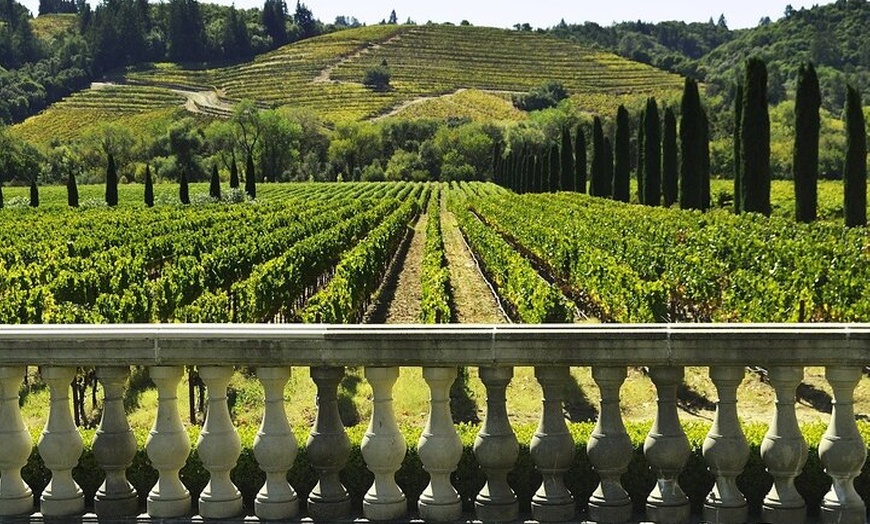 Image 9: Gaudí Unveiled & Premium Wine Escape - Tour Privado