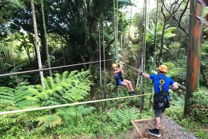Big Island: 8-Zipline & Suspension Bridge Waterfall Adventure