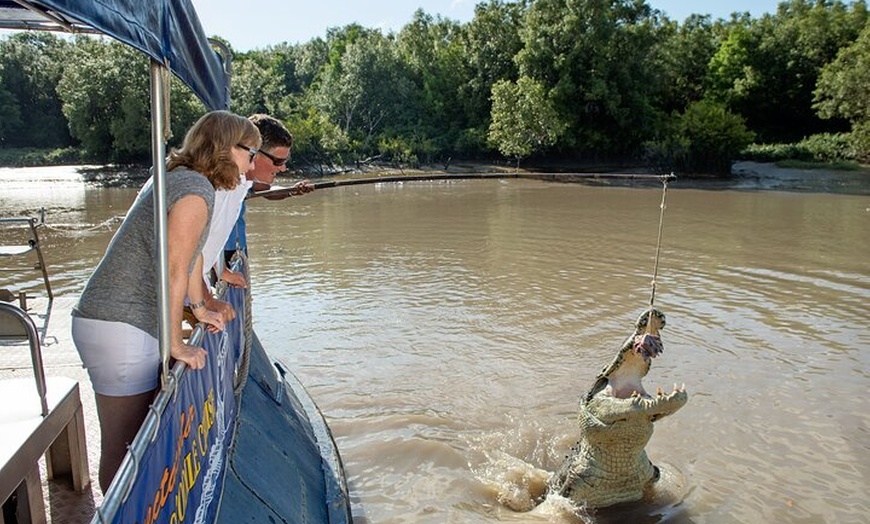 Image 9: Spectacular Jumping Crocodile Cruise with Darwin Transfer Bus