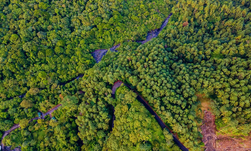Image 10: ✈ COSTA RICA | San José - De la jungle aux côtes du Pacifique - Aut...