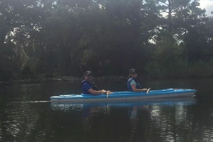 Delta Wildlife Kayak Tour - Second Medium