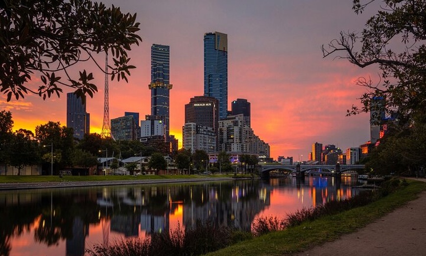 Image 4: Best of Melbourne City & Wildlife Sanctuary for Cruise Passengers