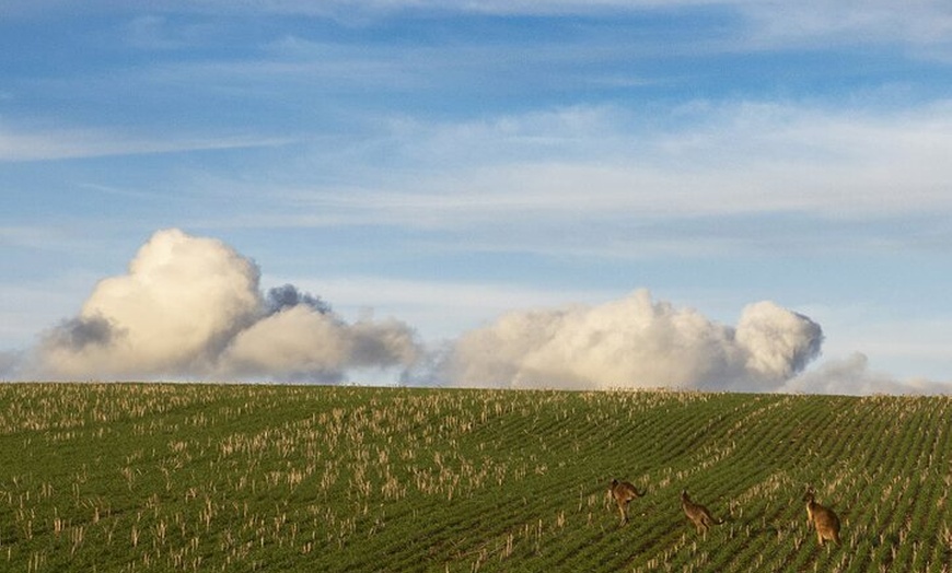 Image 25: Burra Township to Mount Bryan History and Landscape Day Tour