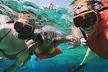 Half Day - Pigs, Turtles, Snorkel & Lunch - Second Medium