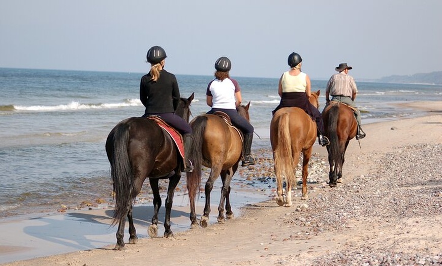 Image 2: Excursión a caballo cerca de la playa en la bahía de Alcúdia