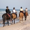 Image 2: Excursión a caballo cerca de la playa en la bahía de Alcúdia