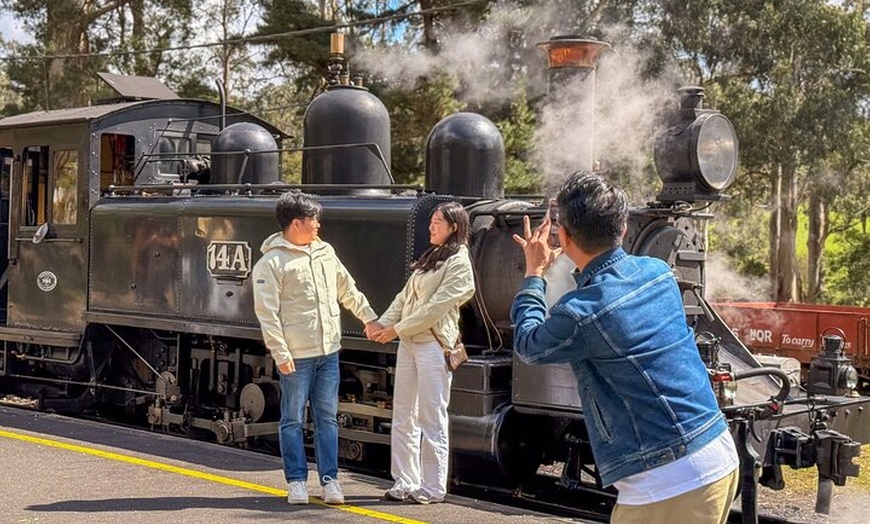 Image 3: Puffing Billy, Forest Trails and Yarra Valley Discovery Tour