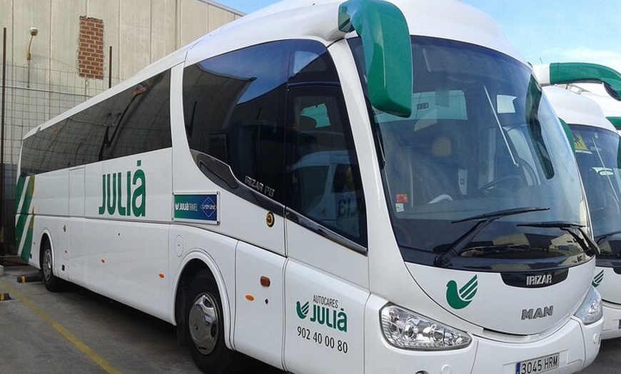 Image 5: Excursión de un día a Molino de Aceite y Mercado Agroalimentario de...