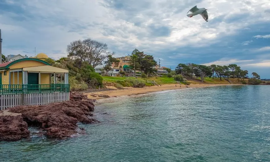 Image 15: Phillip Island, Penguins, Koalas & Wildlife Tour - from Melbourne
