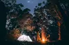 Yosemite Classic Camping Trips