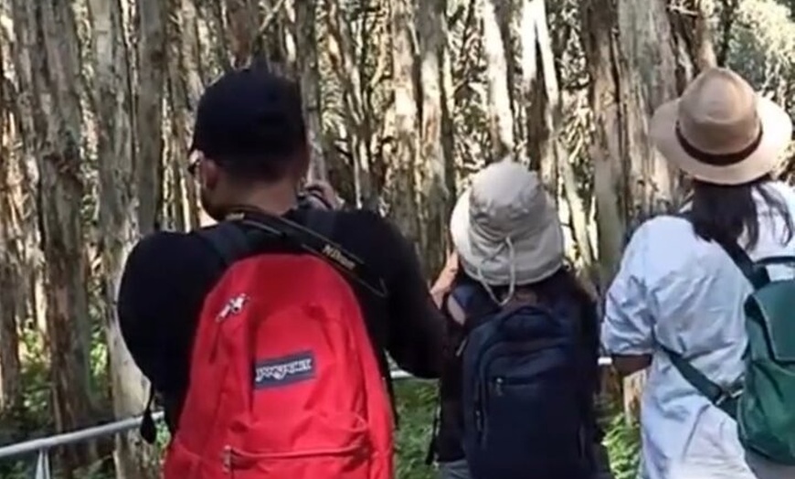 Image 41: Sydney Guided Wildlife Walk Explore Birds and Nature