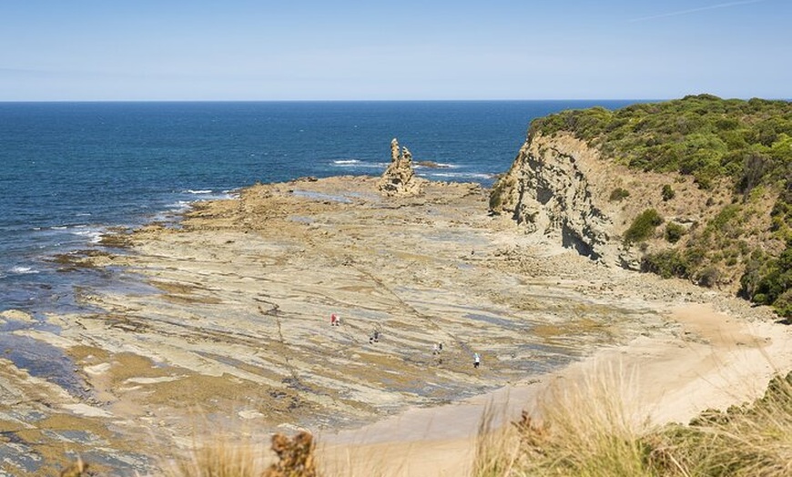 Image 4: Bunurong Coast and Penguin Parade Private Tour