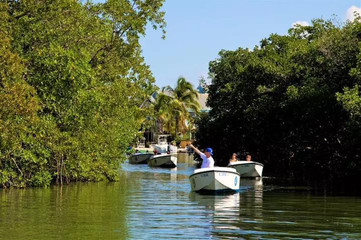 Key West Safari Eco Sandbar Tour Adventure with Snorkeling