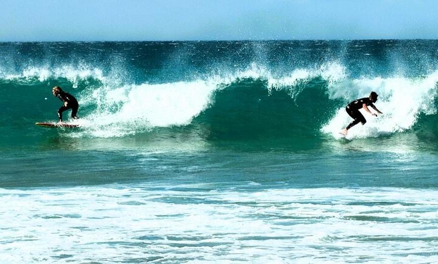 Image 9: Showcase Sydney with Photographer + Harbour Cruise Full Day Tour