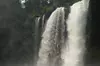 Eugene area Waterfalls & the McKenzie River in a Tesla