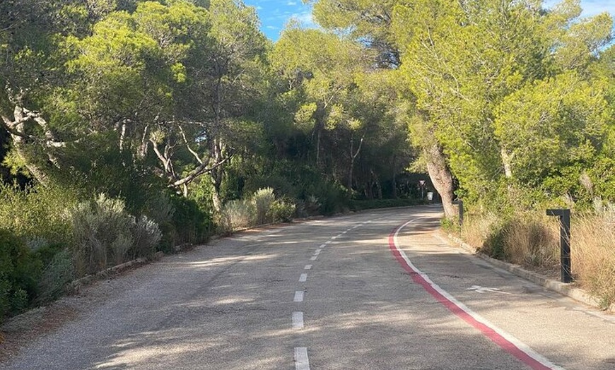Image 5: Aventura en bicicleta desde Valencia a Humedales y playas de la Alb...