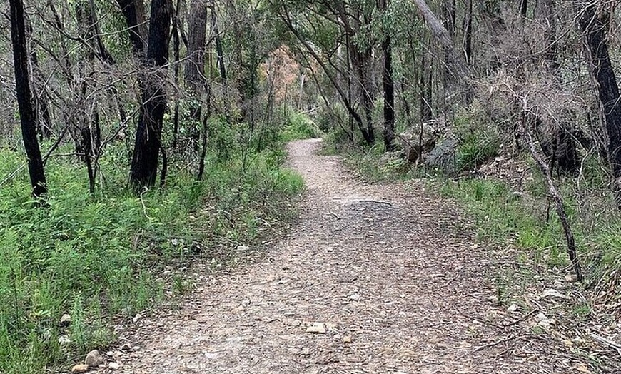 Image 10: Self Guided Electric Bicycle Tour of Bundanoon