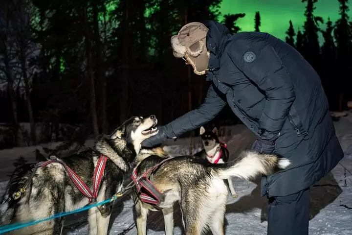 Aurora Activity at Sluice Box Sled Dogs