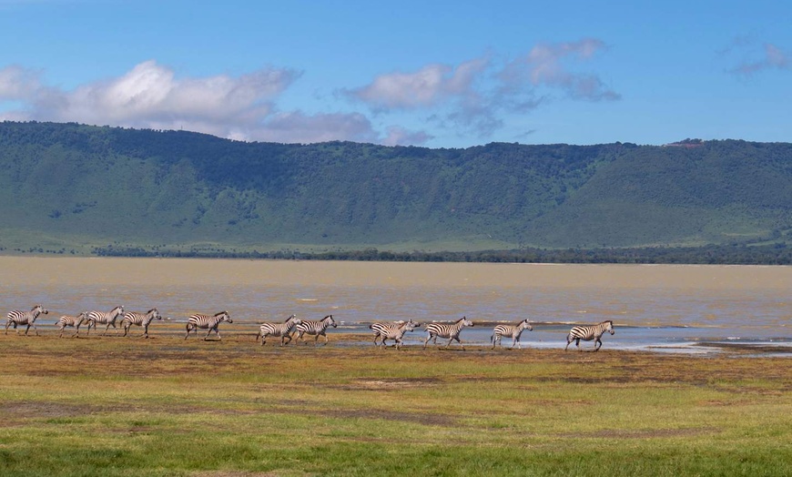 Image 14: ✈ TANZANIE | Du Kilimanjaro à Nairobi - Des hauteurs du Kilimandjar...