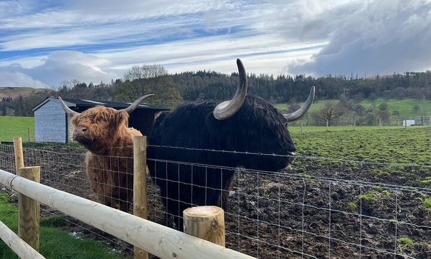 Image 2: Full Day Trip: The Kelpies, Loch Lomond, and The Trossachs