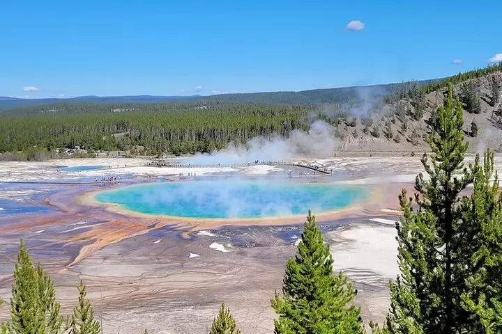 Guided Lower Loop of Yellowstone from Cody, WY - Primary Image