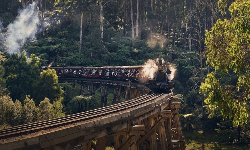 Image 1: Puffing Billy Train&Healesville Sanctuary&Yarra Valley Wine Tour