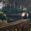 Image 1: Puffing Billy Train&Healesville Sanctuary&Yarra Valley Wine Tour