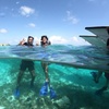 Image 6: Cancun Speed Boat, Parasailing and Dolphin Beach with Transport