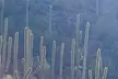 Guided Hike in the Sonoran Desert - Second Medium