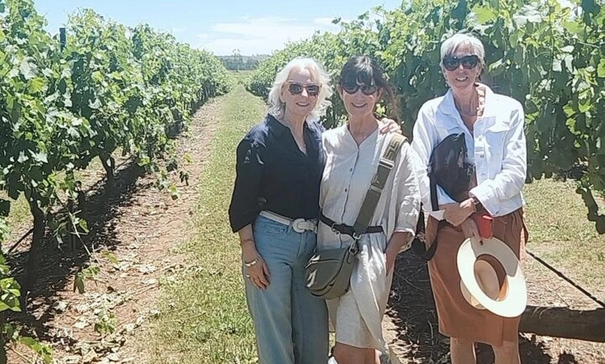 Image 10: Sydney to Hunter Valley Wine Tour | Gin, Lunch, Chocolatier Visit