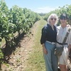 Image 10: Sydney to Hunter Valley Wine Tour | Gin, Lunch, Chocolatier Visit