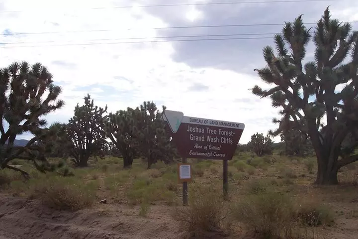 Las Vegas: Grand Canyon West Rim Bus Tour with Skywalk