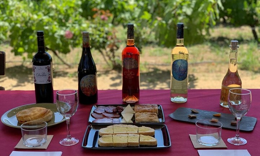 Image 27: Alicante; Recorrido Vinícola Bodega Cata Vinos, Comida y Traslado