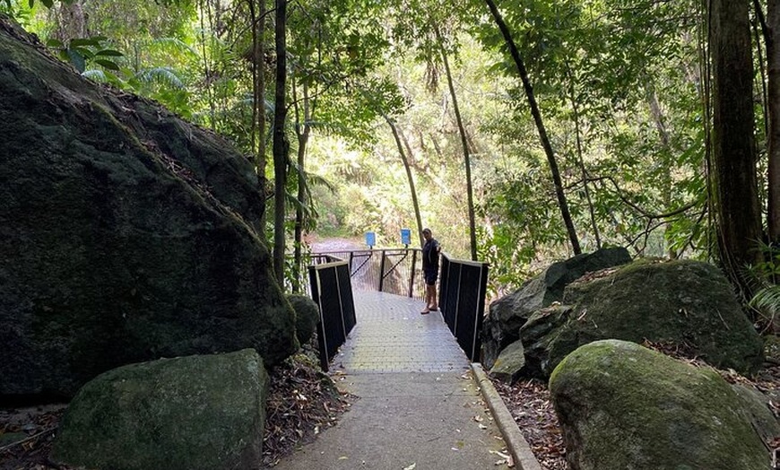 Image 7: Cassowary Coast Goondoi Culture Tour
