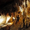 Image 3: Wombeyan Caves: Wollondilly Cave Guided Tour