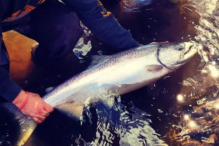 Kasilof River | King Salmon | Full Day Charter
