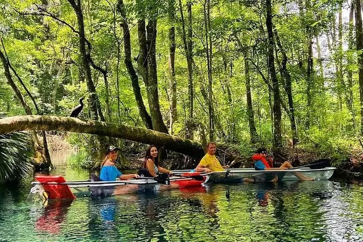 Glass Bottom Kayak Tours of Silver Springs