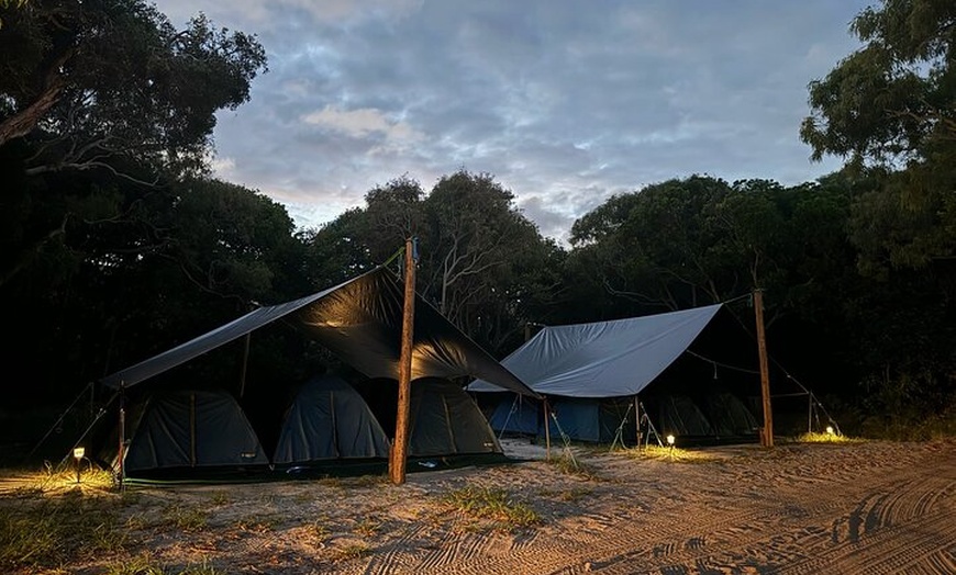 Image 13: Dingos 2 Day K'Gari (Fraser Island) 4WD Tag-Along Tour