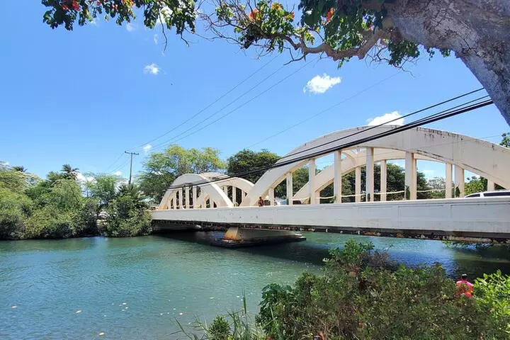 Round Trip North Shore Shuttle from Waikiki to Haleiwa Town / Halei...