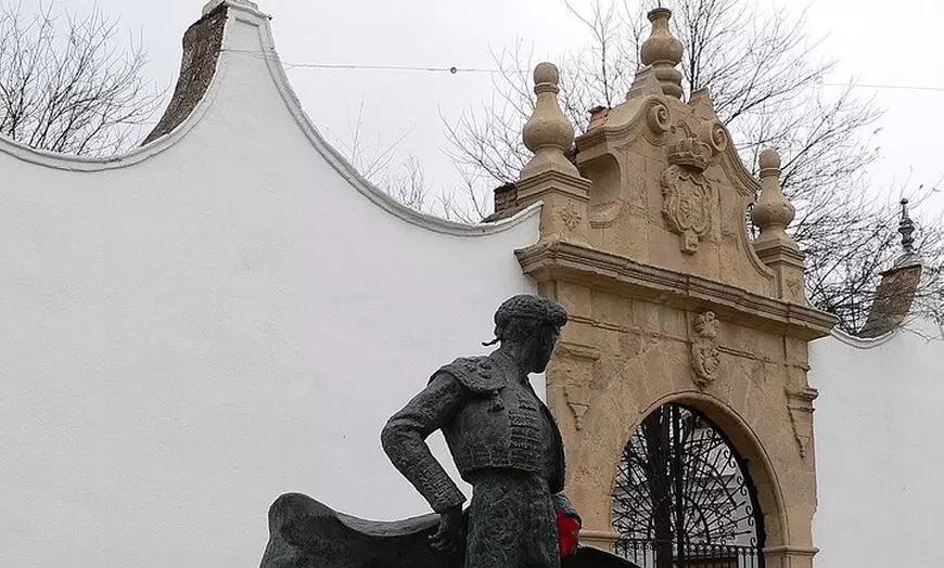 Image 6: Excursión Privada a Ronda desde Málaga y La Costa Del Sol