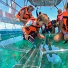 Image 13: Cancun Clear Boat Tour Nichupté & Sea + Drinks Included