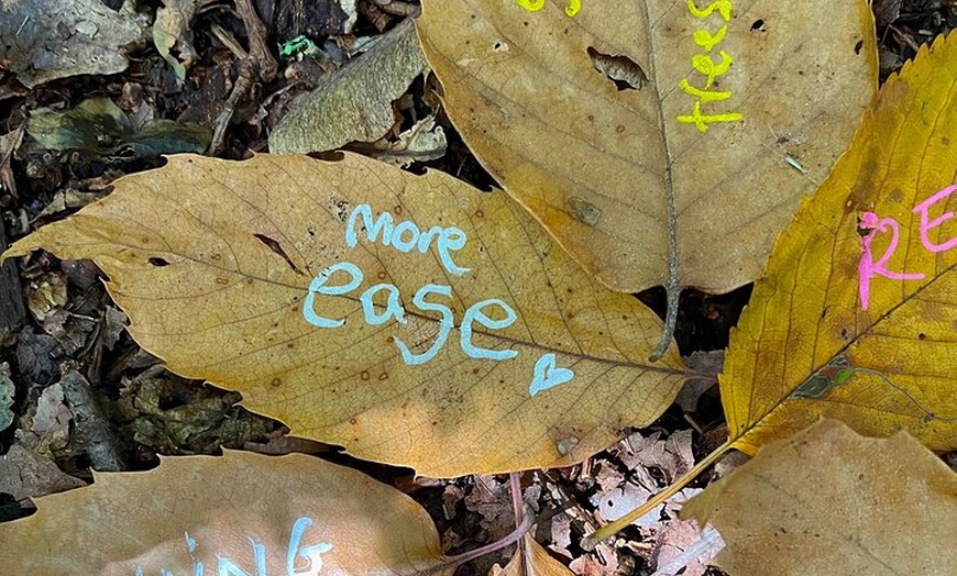 Image 5: Guided Forest Bathing Walk in a Hidden SE London Woodland
