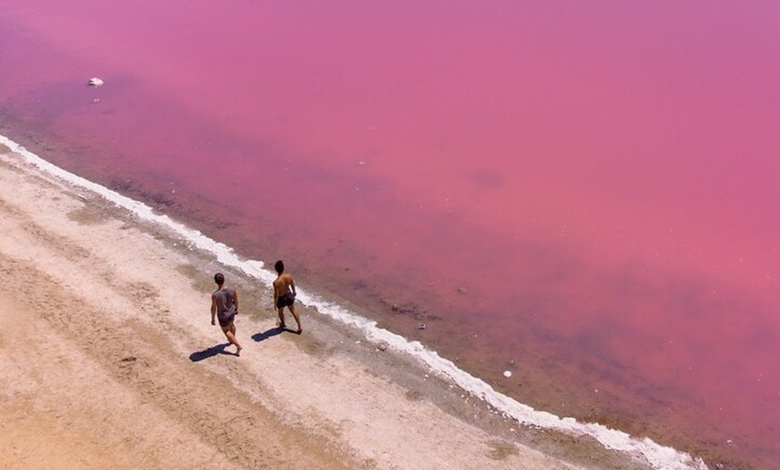 Image 12: Perth to Exmouth & Ningaloo Reef 8 Day Small-Group Boutique Tour