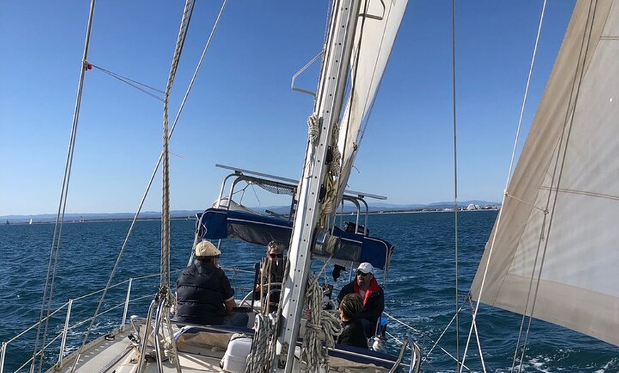 Image 4: Découverte Privée de la Camargue à la Voile