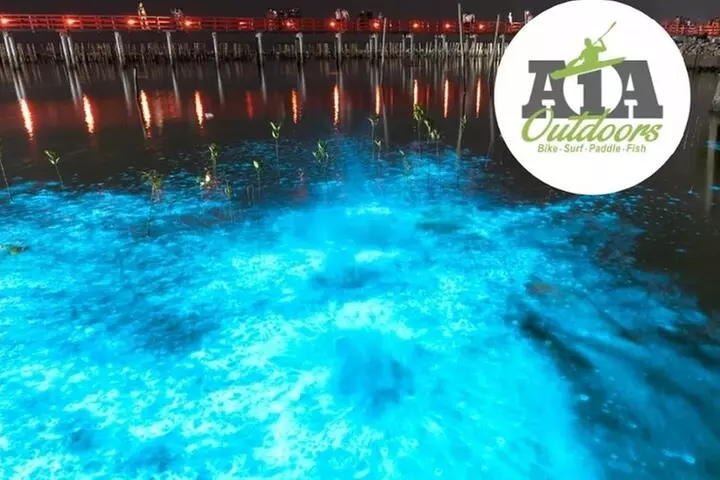 Cocoa Beach Night Time Bioluminescence Kayak Tour