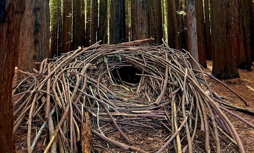 Image 3: Yarra Valley Small Group | Redwoods, Wildlife, Winery & Chocolate