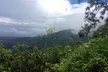 Private Tour El Yunque Rainforest swimming waterfall - Second Medium
